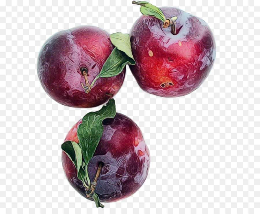 Europeu De Ameixa，Frutas PNG