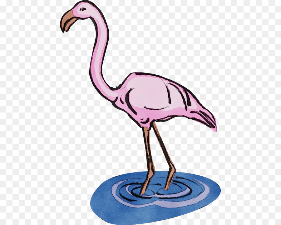 Pássaro，Maior Flamingo PNG