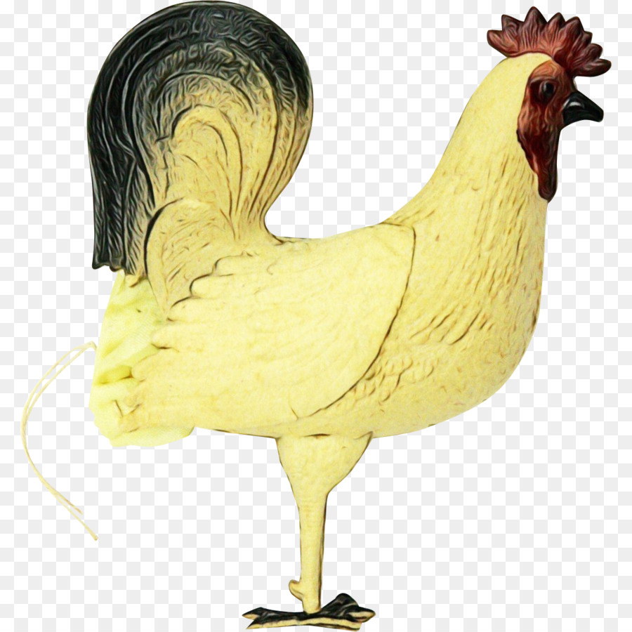 Frango，Aves PNG