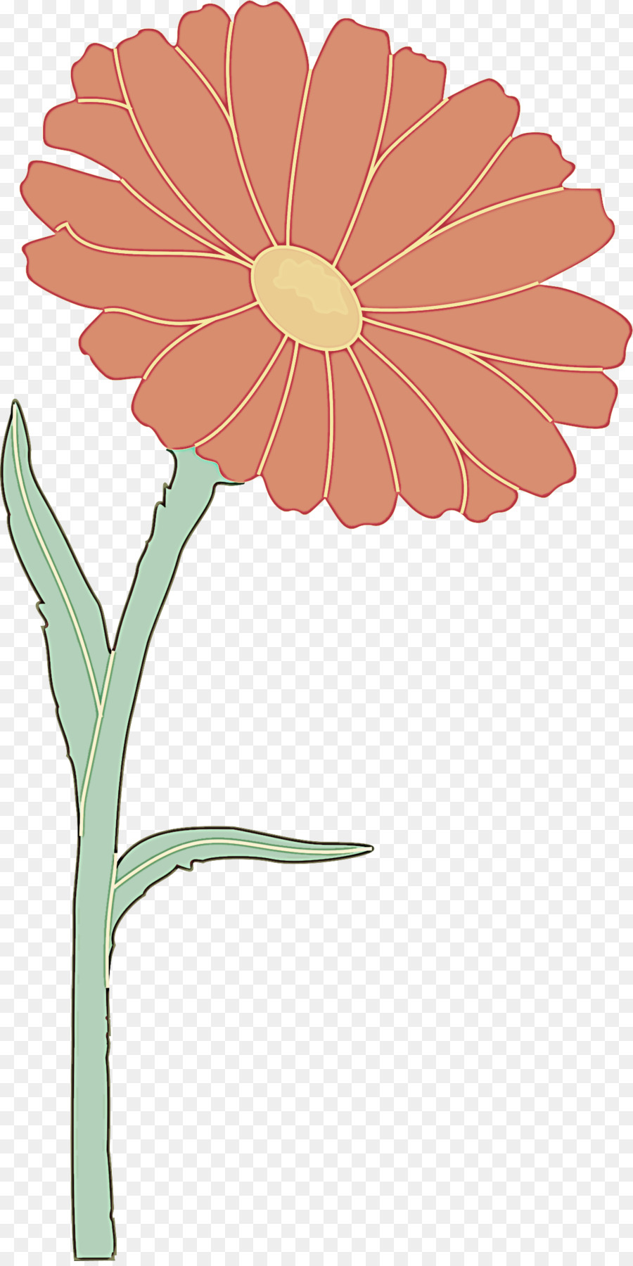 Flores Brancas，Natureza PNG