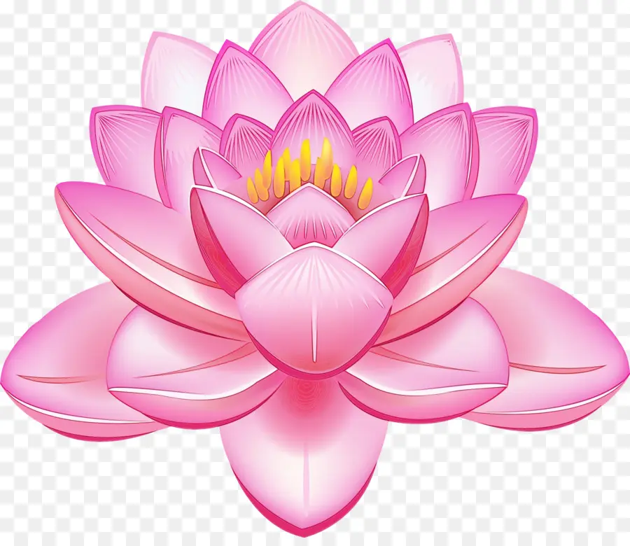 Lotus Família，Lotus PNG