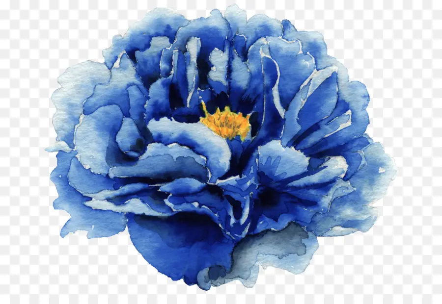 Azul，Flor PNG