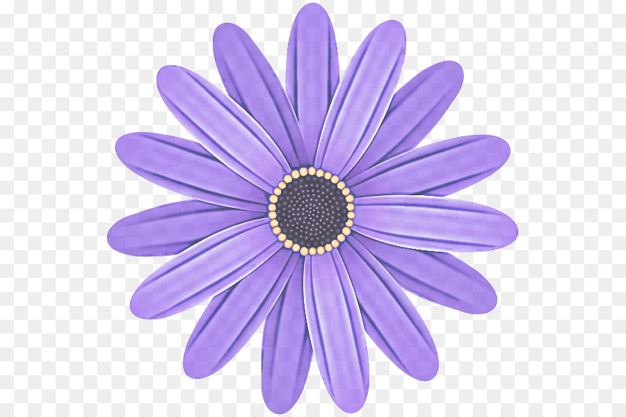 Violeta，Roxo PNG