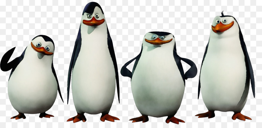 Penguin，Ave PNG