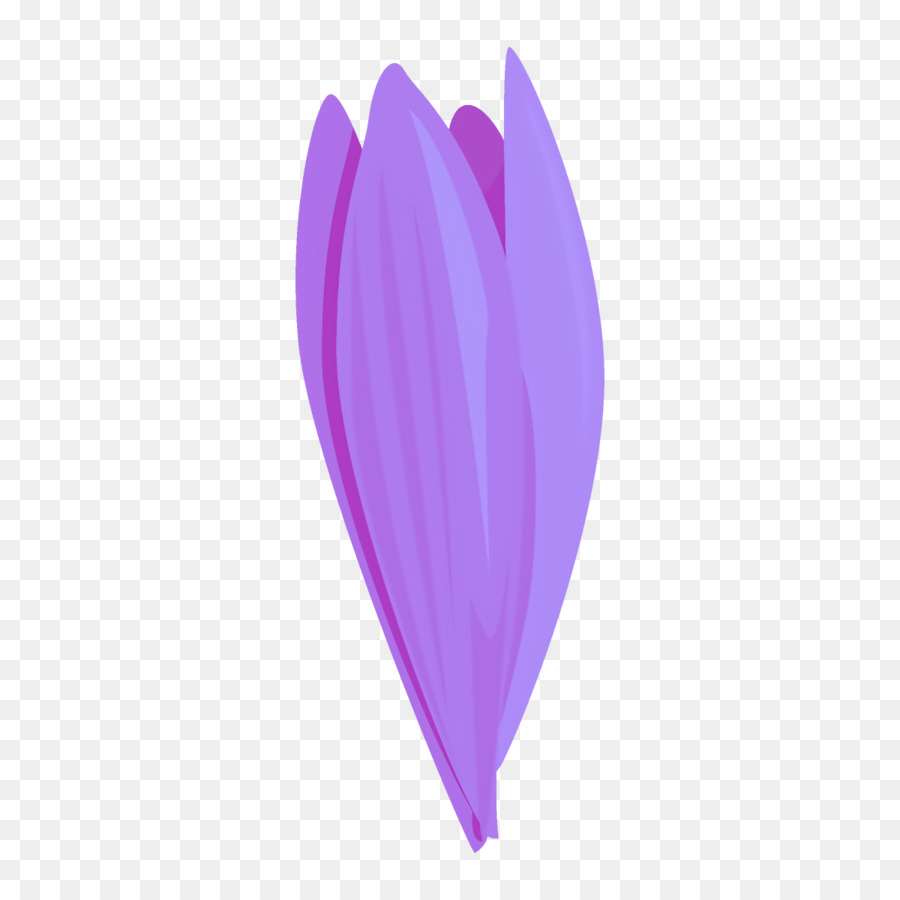 Violeta，Roxo PNG