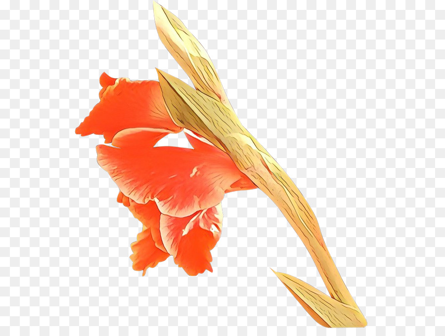 Laranja，Pena PNG