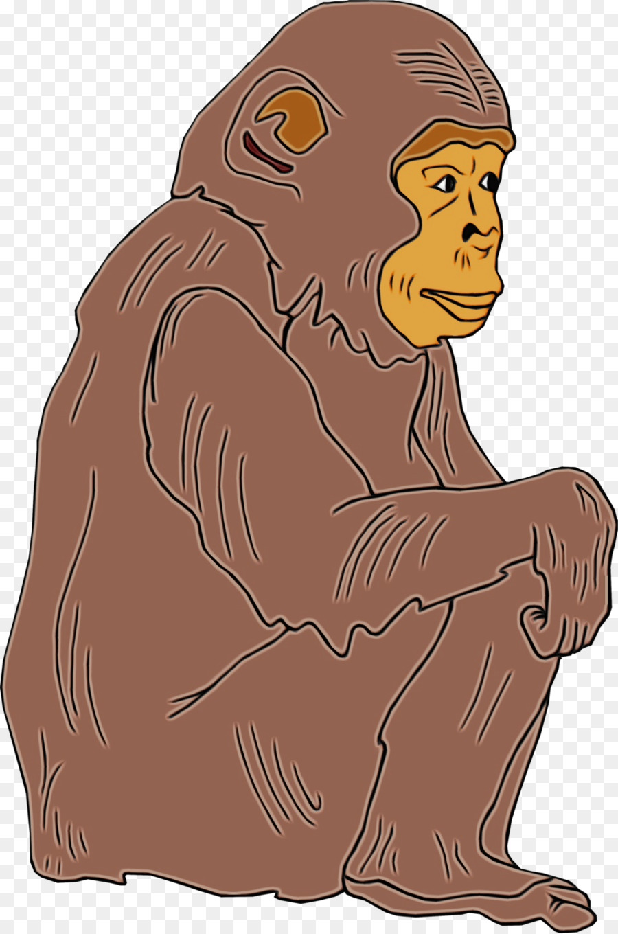 Cartoon，Macaco Do Velho Mundo PNG