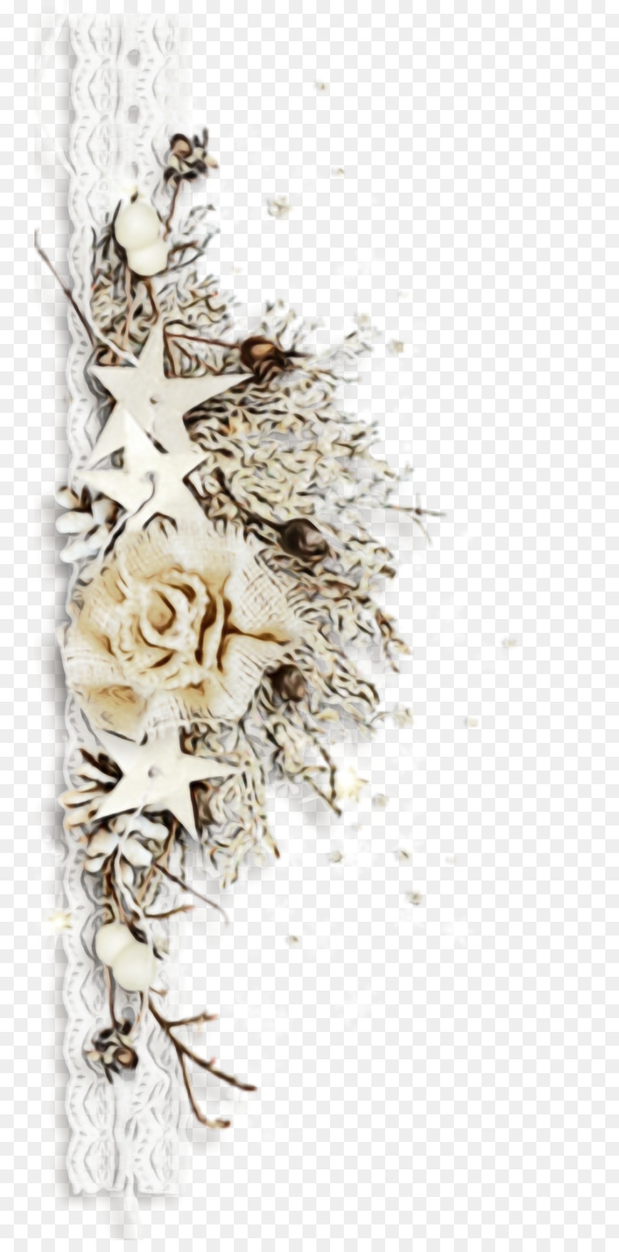 Decoração Floral，Branco PNG