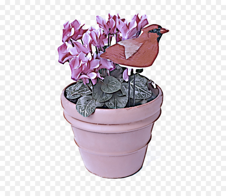 Flor，Flowerpot PNG