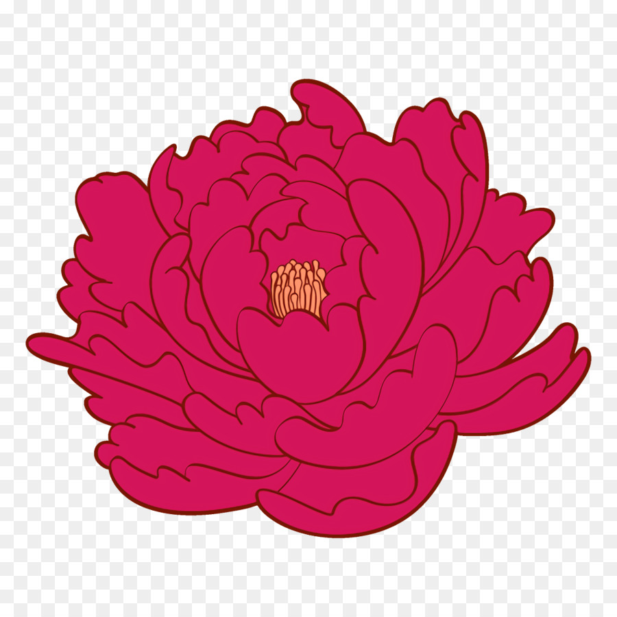 Contorno De Flor，Florescer PNG