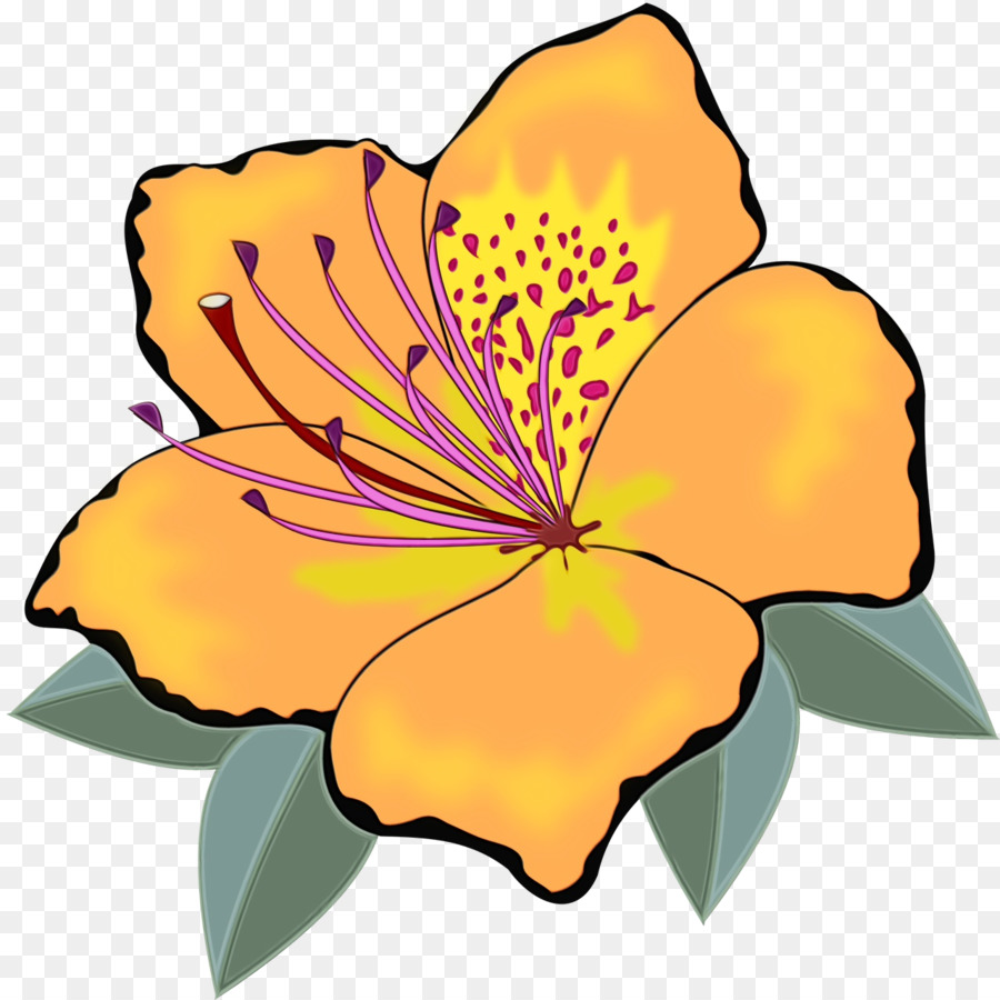 A Floração Da Planta，Pétala PNG