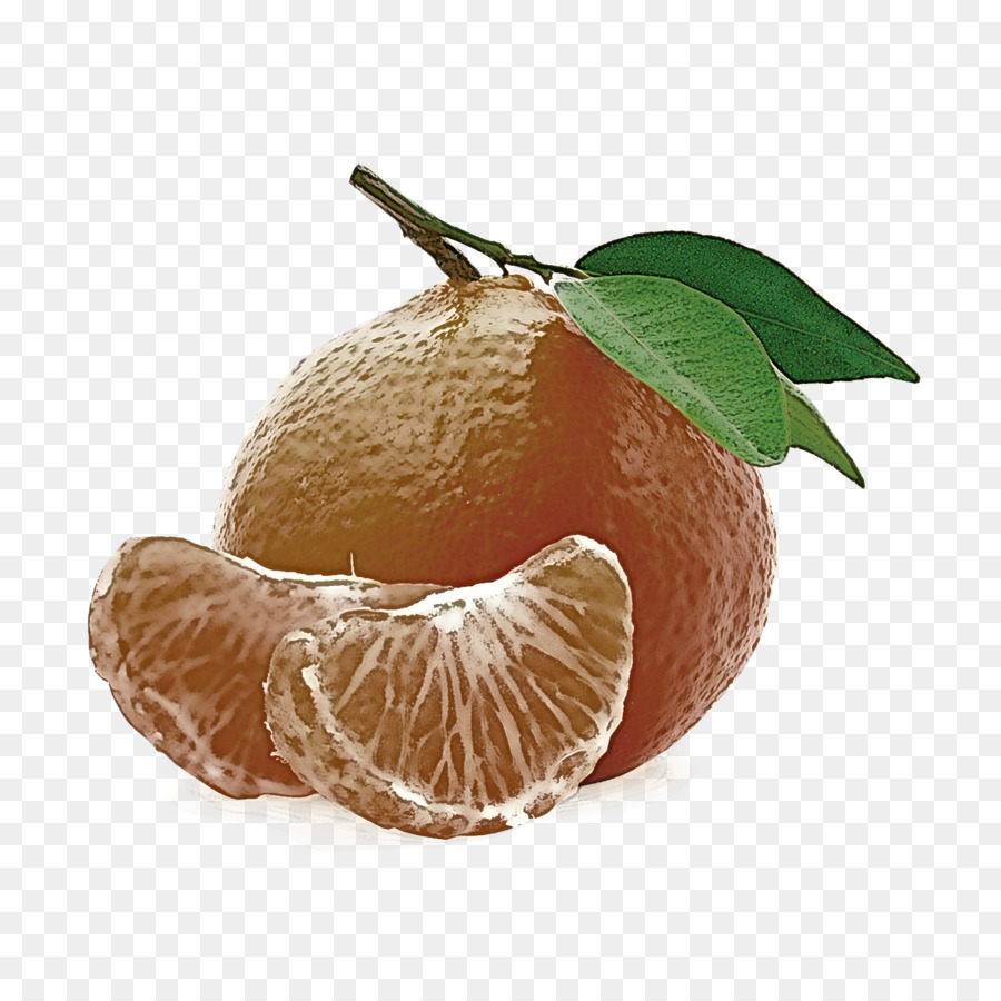 Fatia De Laranja，Cítrico PNG