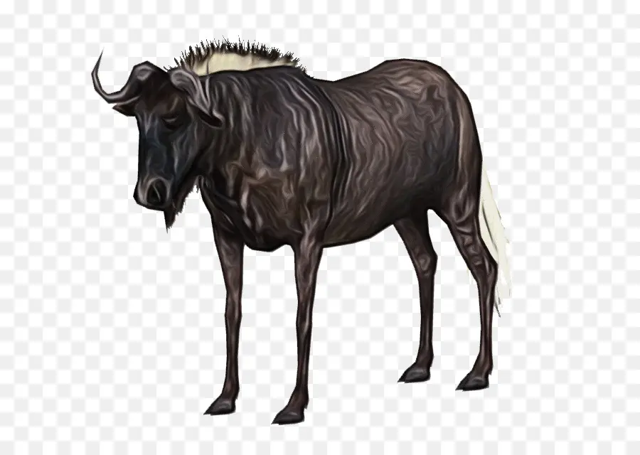 Gnus，Animal Figura PNG