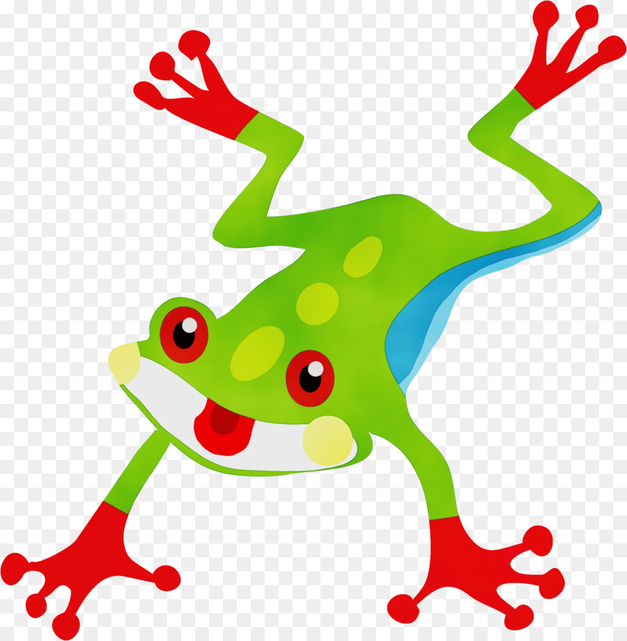 Agalychnis，Tree Frog PNG