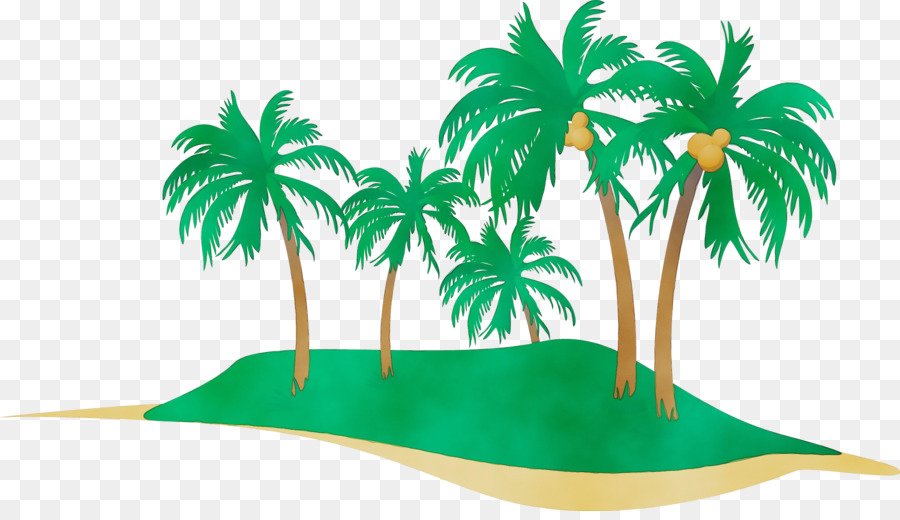 Verde，Palmeira PNG