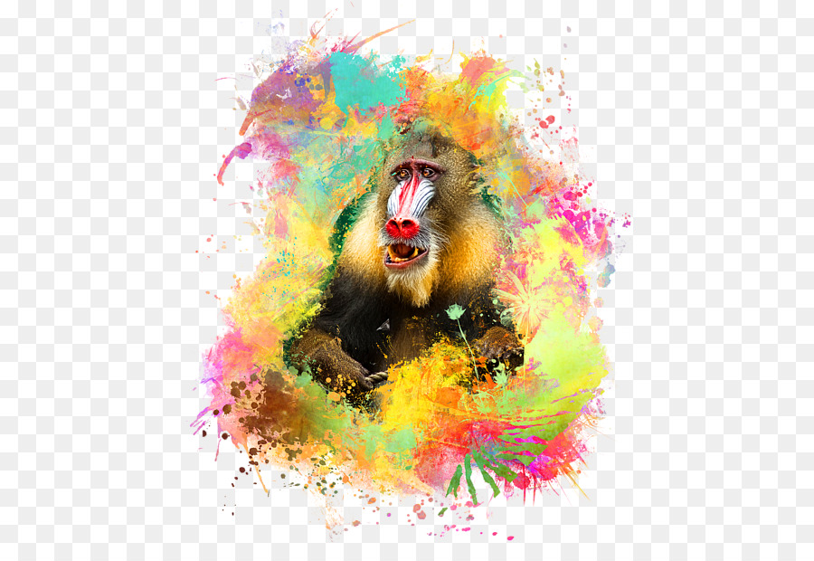 Mandril，Macaco Do Velho Mundo PNG