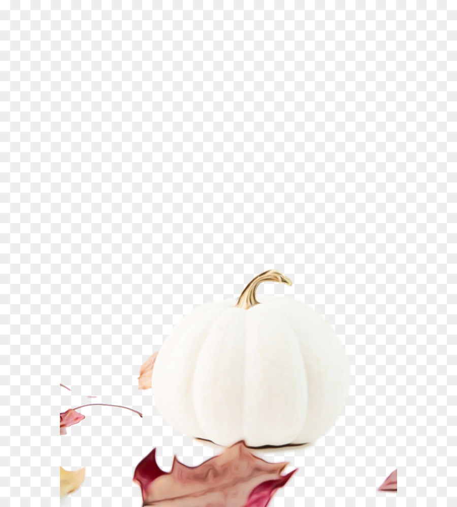 Branco，Plantar PNG