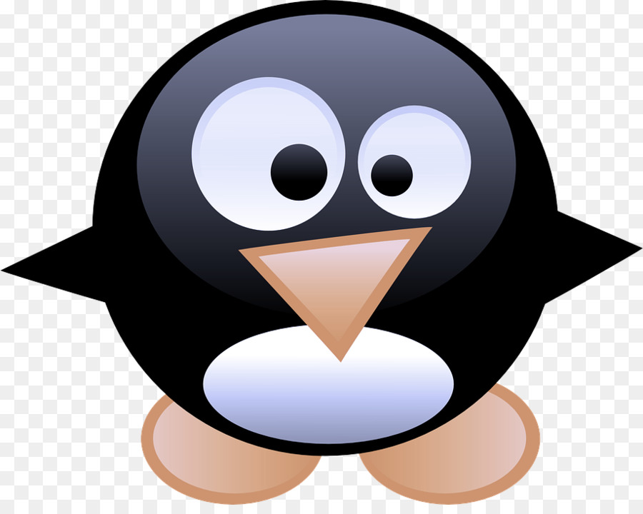 Ave，Penguin PNG