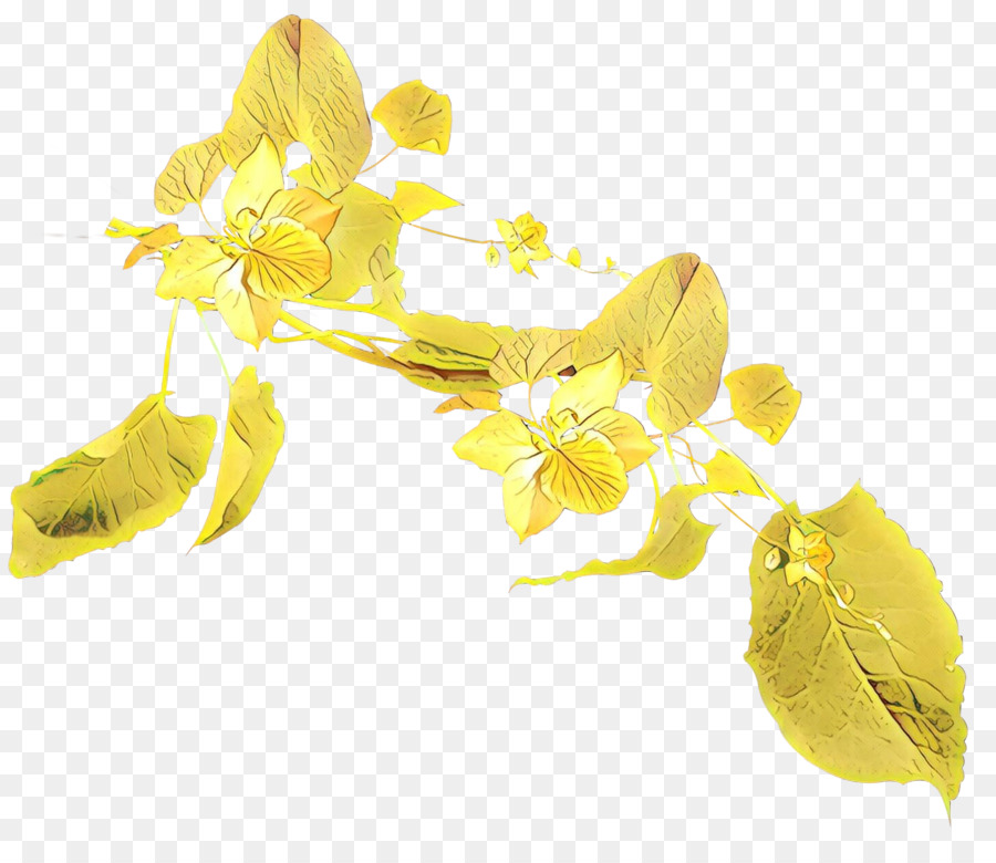 Amarelo，Flor PNG