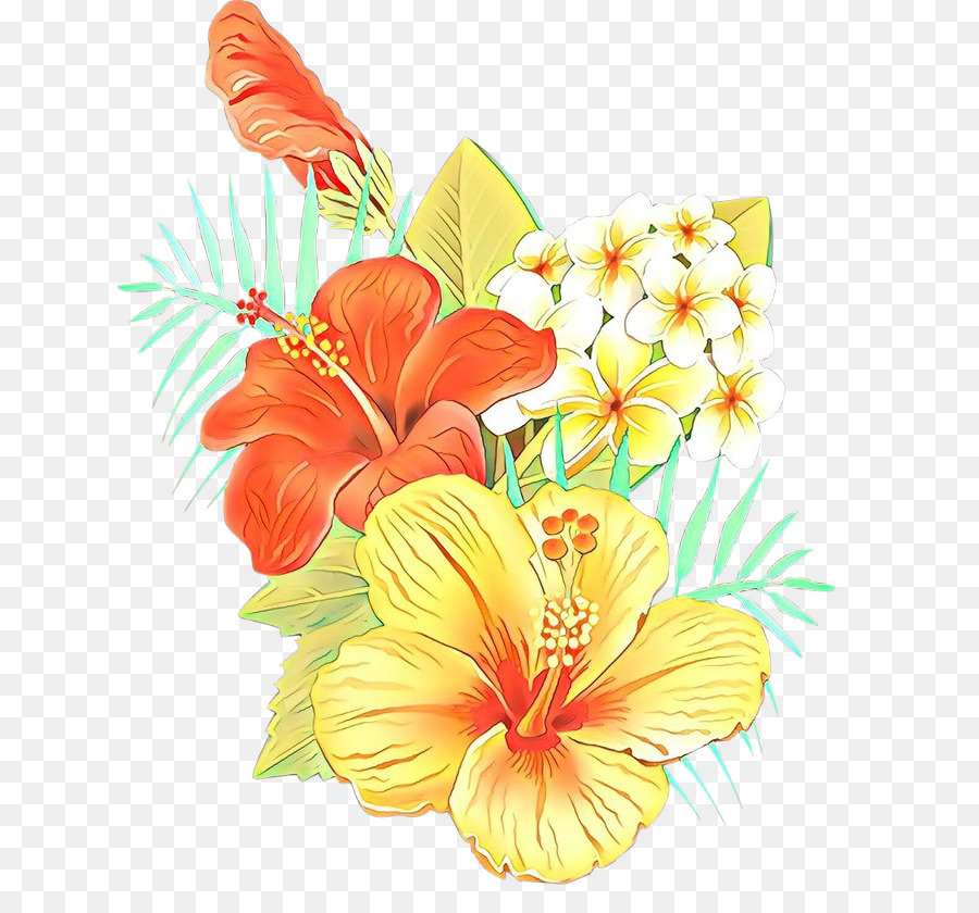 Hibiscus，Flor PNG