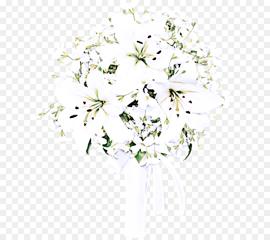 Branco，Flor PNG