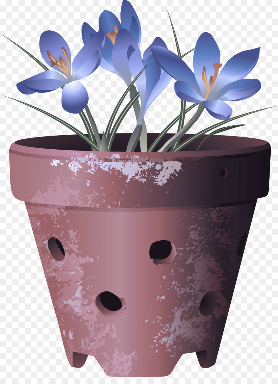 Flowerpot，Flor PNG