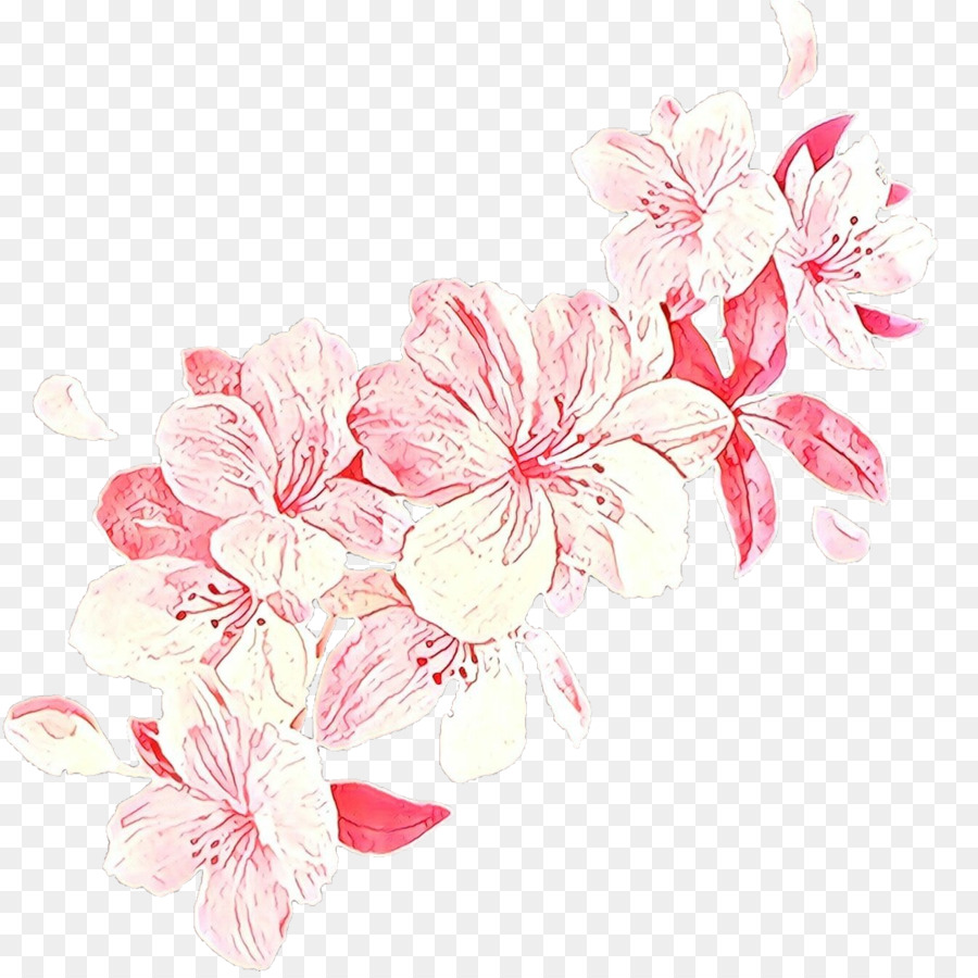 Flores Cor De Rosa，Florescer PNG