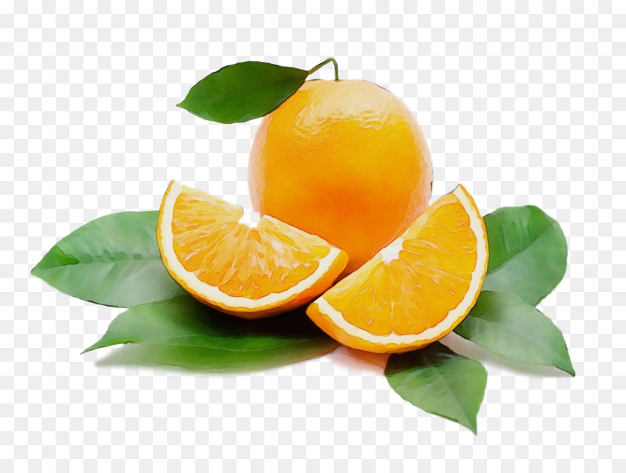 Laranja，Cítrico PNG