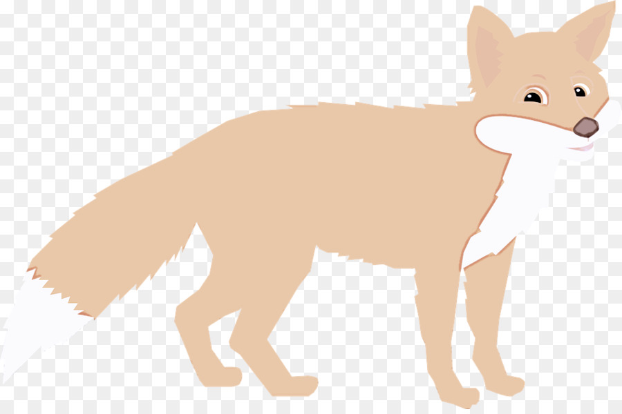 Fennec Fox，Raposa Vermelha PNG