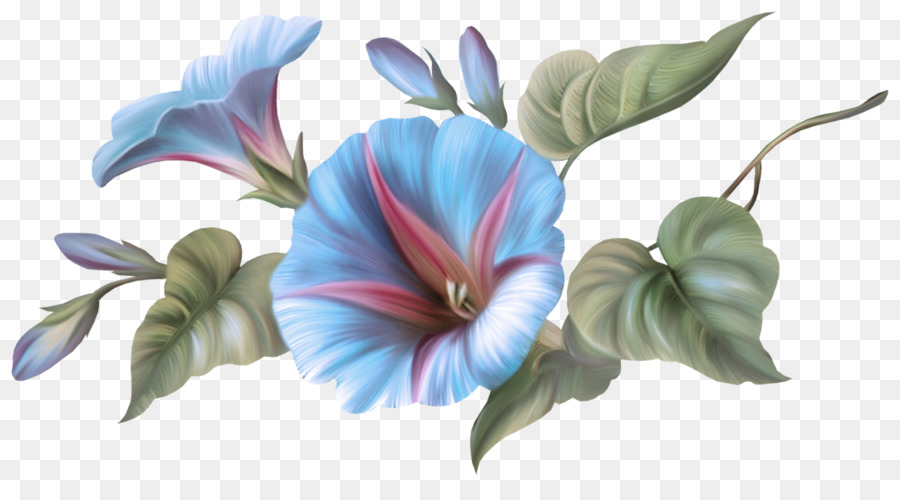 Flor，Havaiano De Hibisco PNG