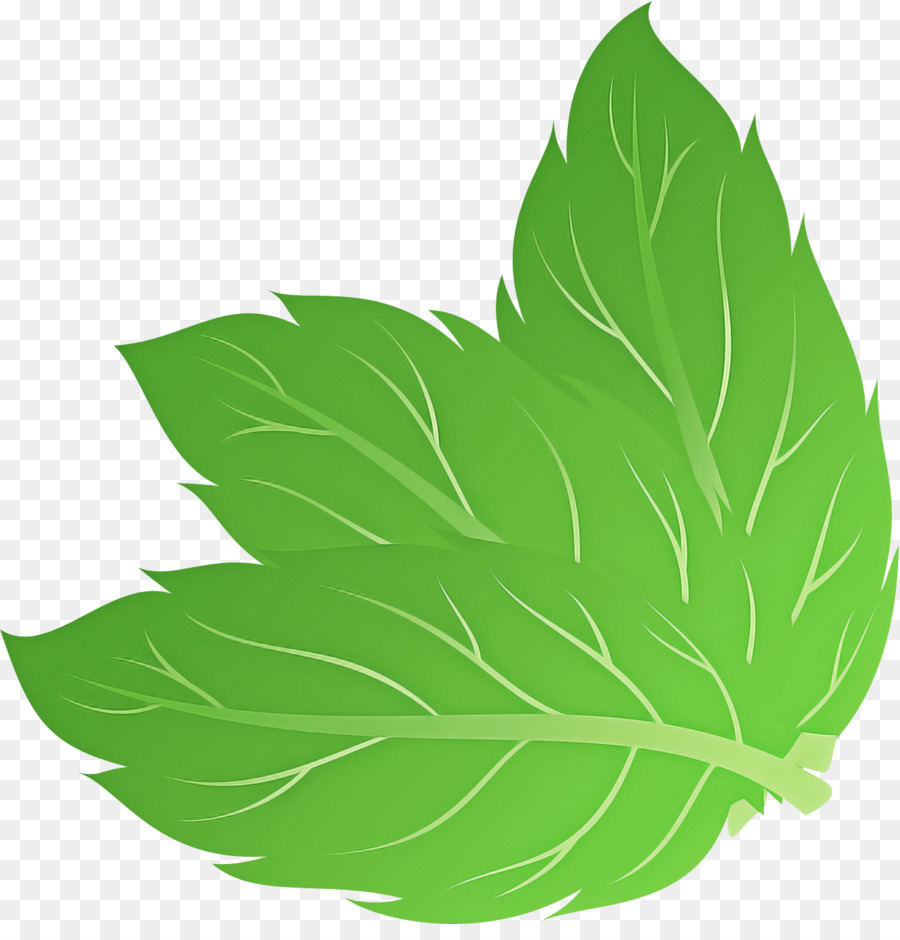 Folhas Verdes，Plantar PNG