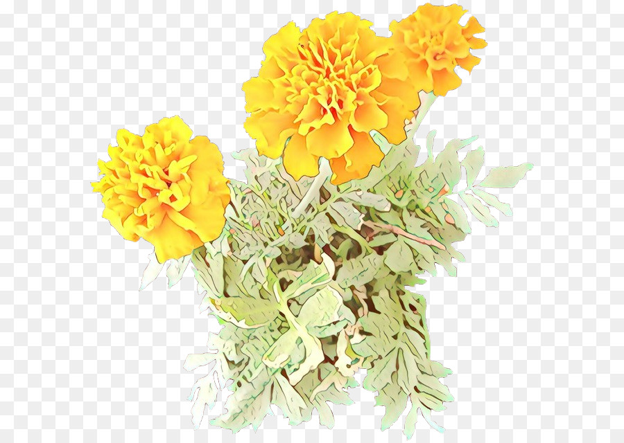 Flor，Tagetes PNG