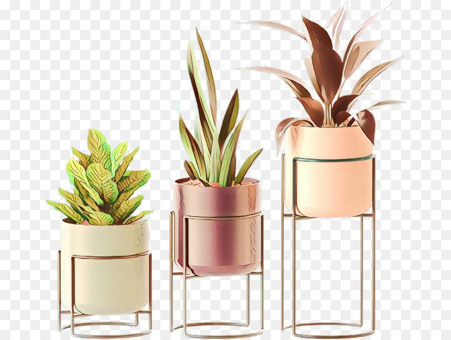 Flowerpot，Planta De Casa PNG