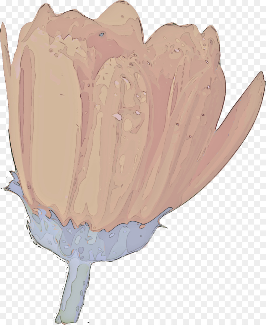 Sorveteria，Plantar PNG