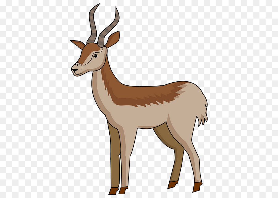 Antelope，A Vida Selvagem PNG