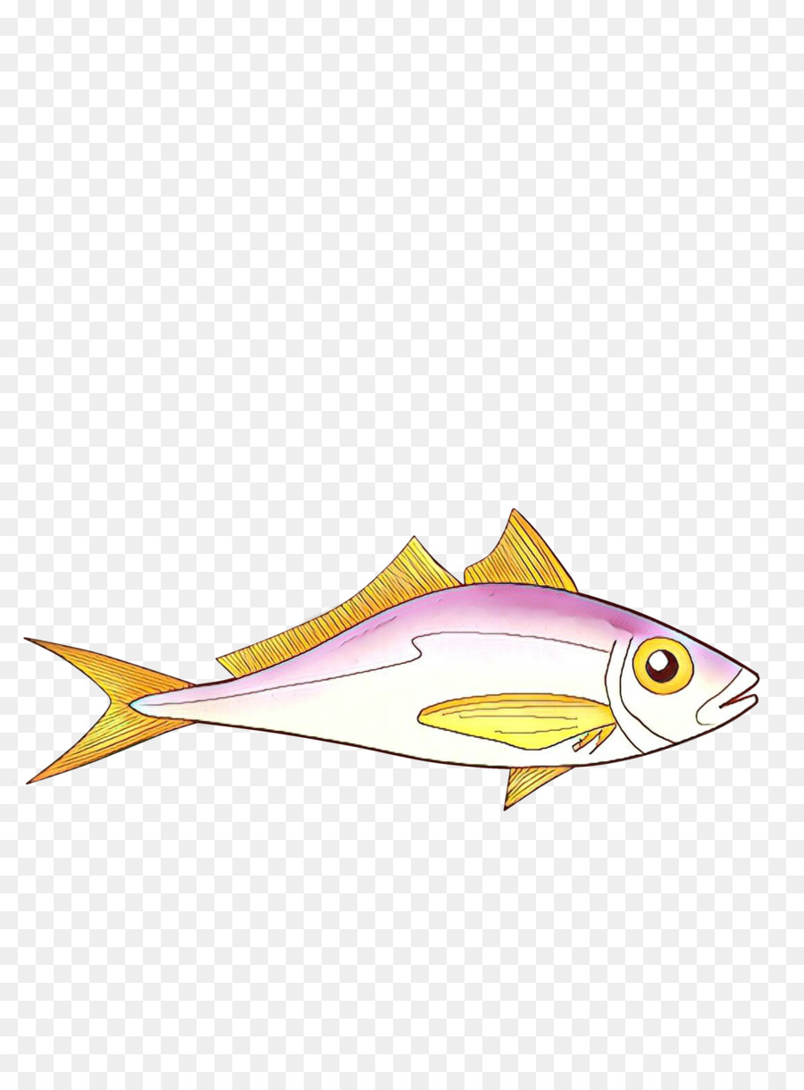 Peixe Colorido，Aquático PNG