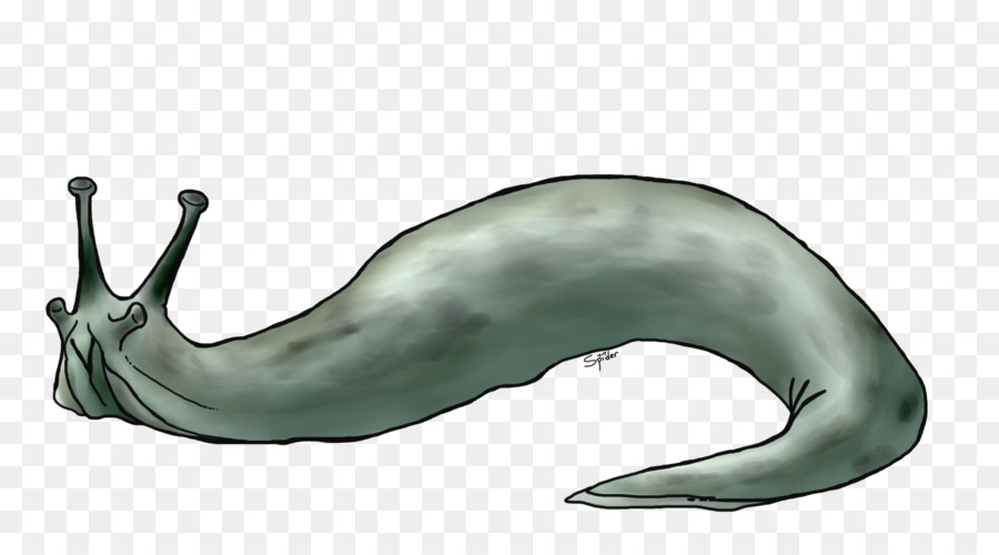 Mamíferos Marinhos，Baleia Azul PNG