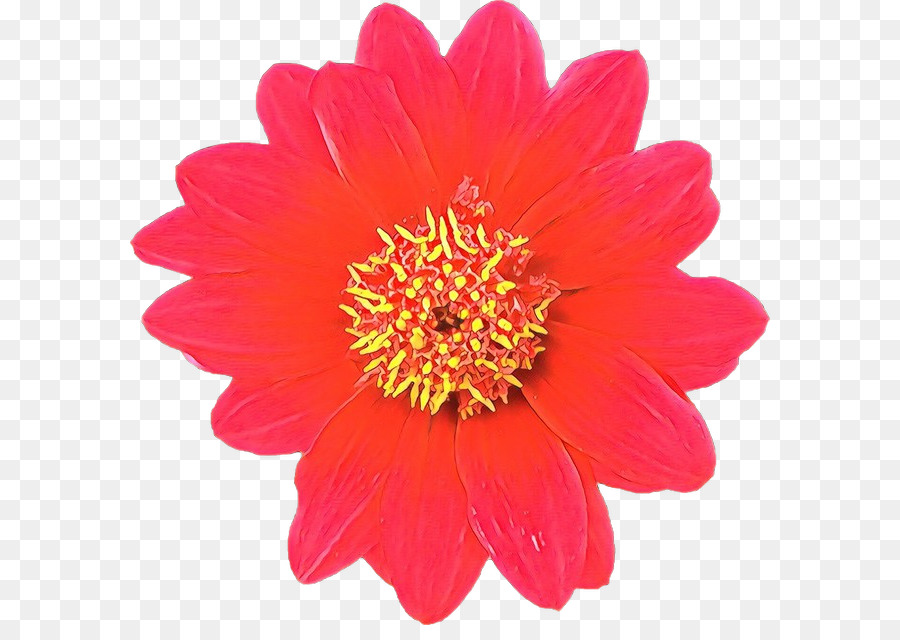 Flor Vermelha，Flor PNG