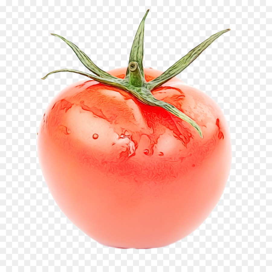 Tomate，Vegetal PNG