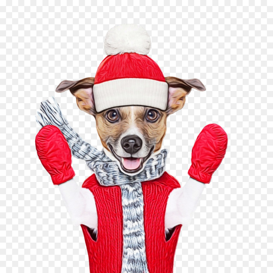 Cachorro Com Roupas De Inverno，Luvas Rosa PNG