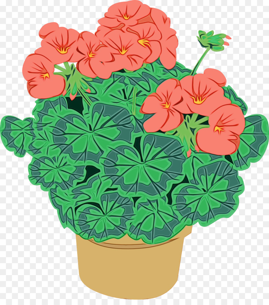 Flor，Flowerpot PNG