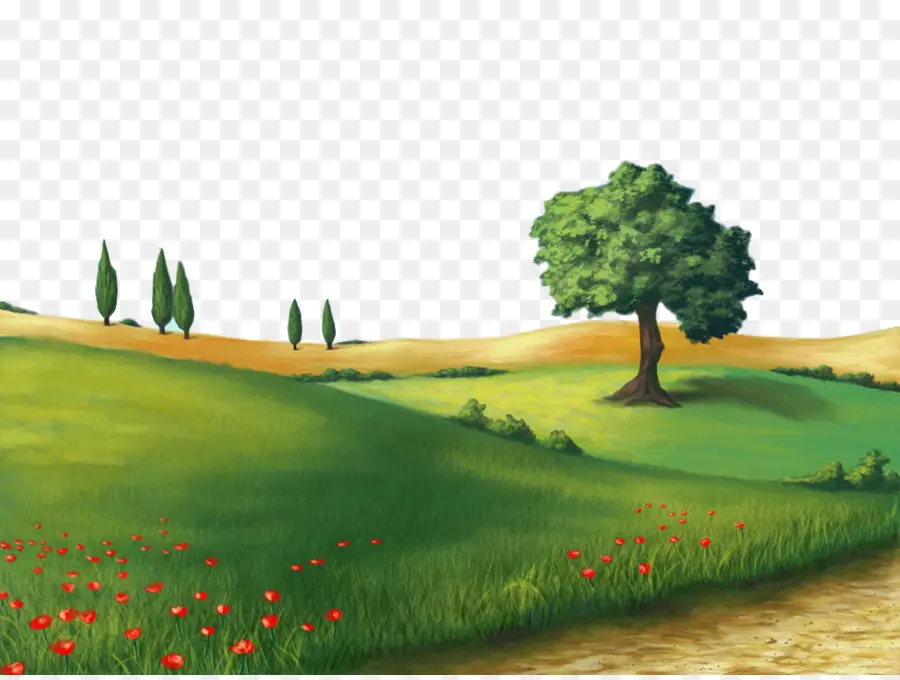 Economia Natural Paisagem，Natureza PNG