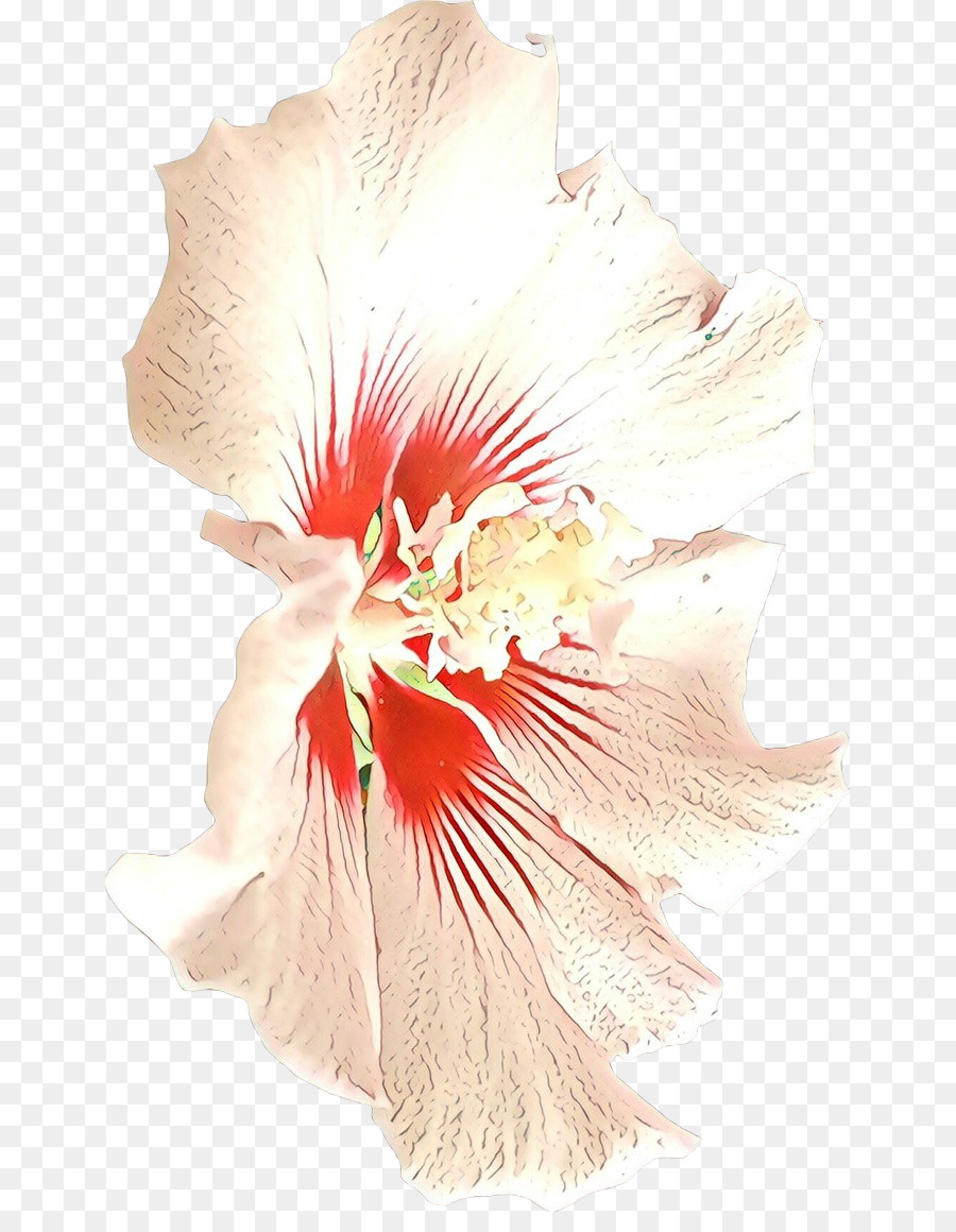 Hibiscus，Havaiano De Hibisco PNG