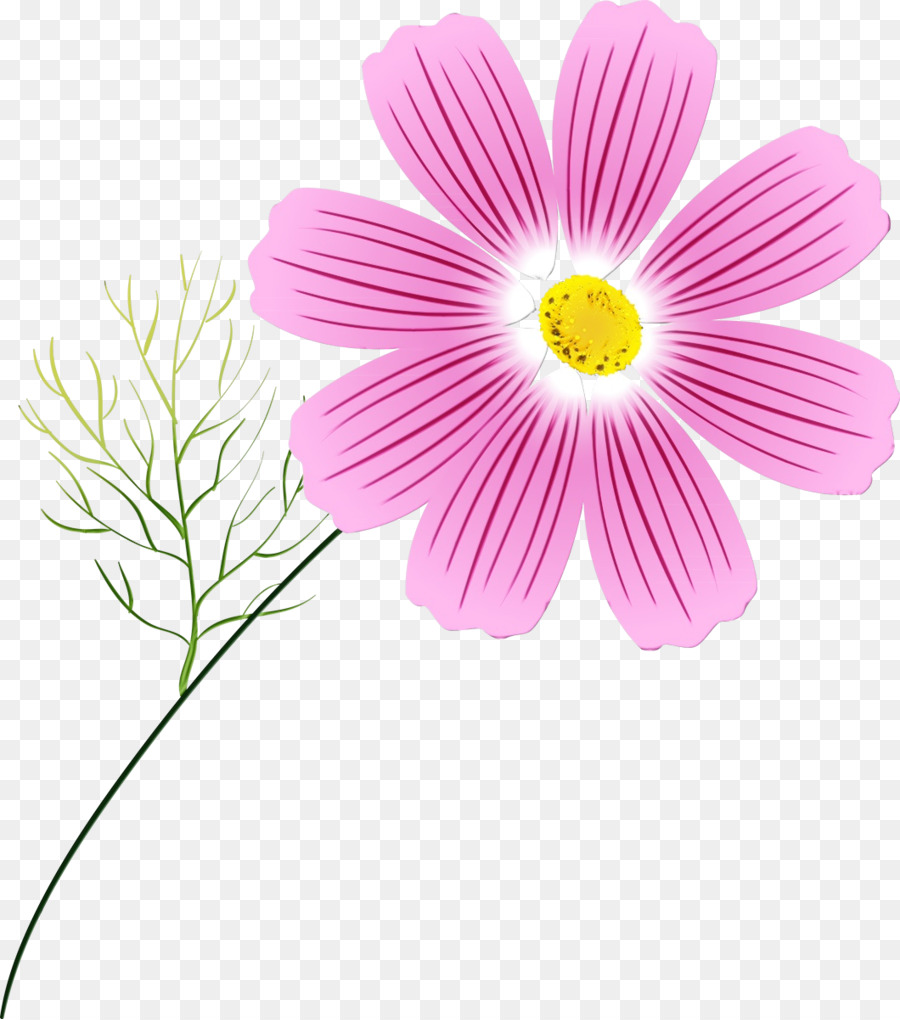 Flor Rosa，Florescer PNG