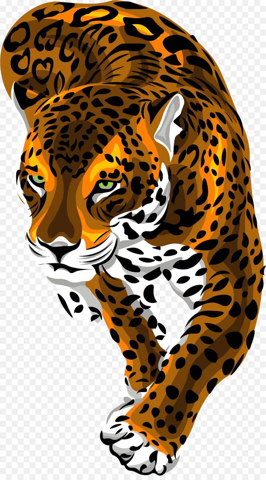A Vida Selvagem，Cheetah PNG