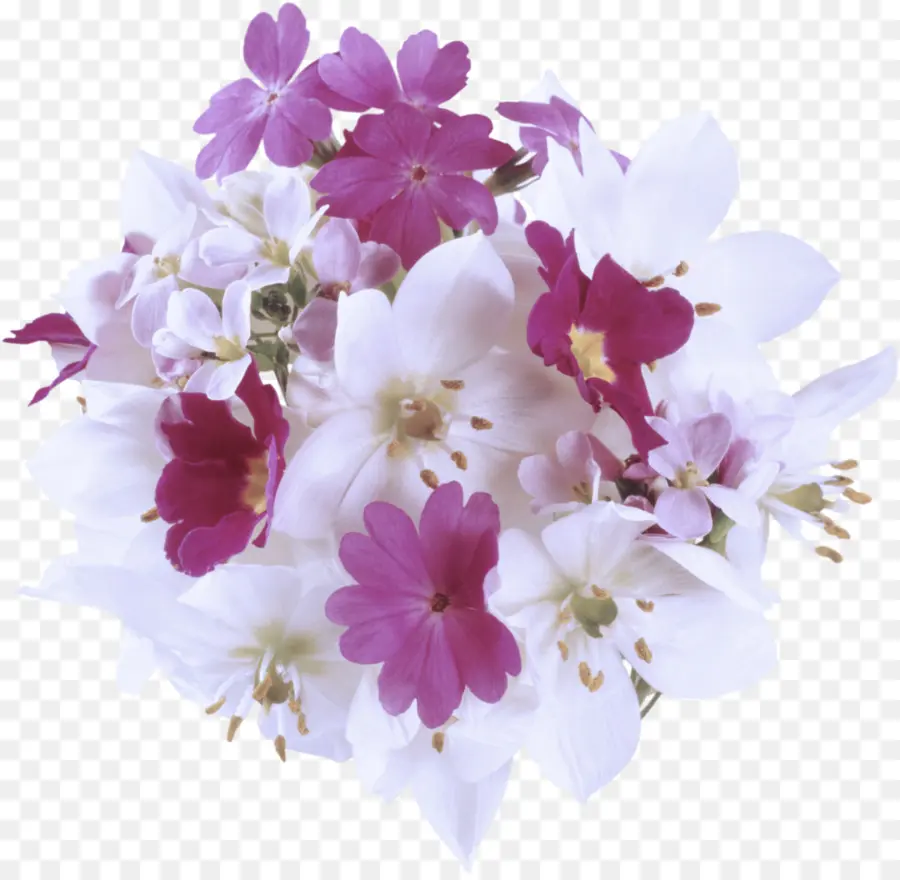 Flores，Ramalhete PNG