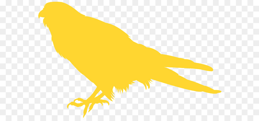 Aves，Amarelo PNG