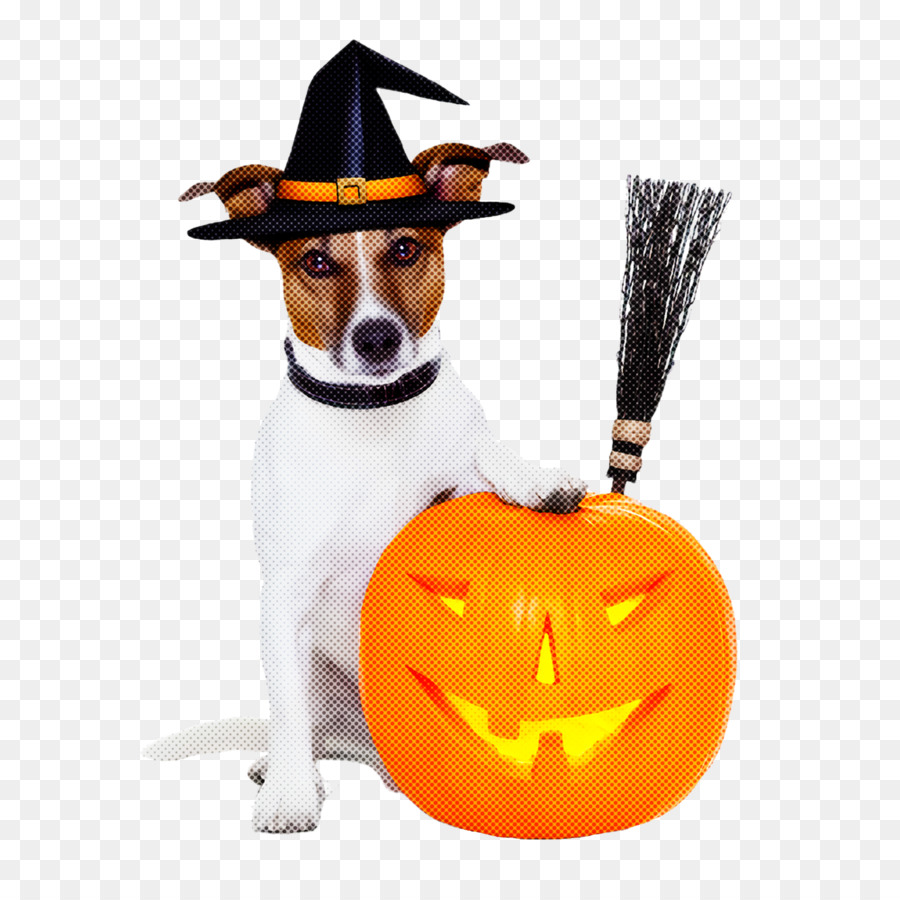 Cachorro，Trickortreat PNG