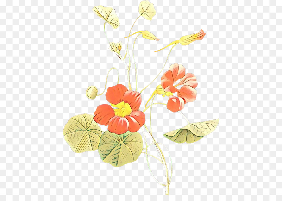 Flor，Planta PNG