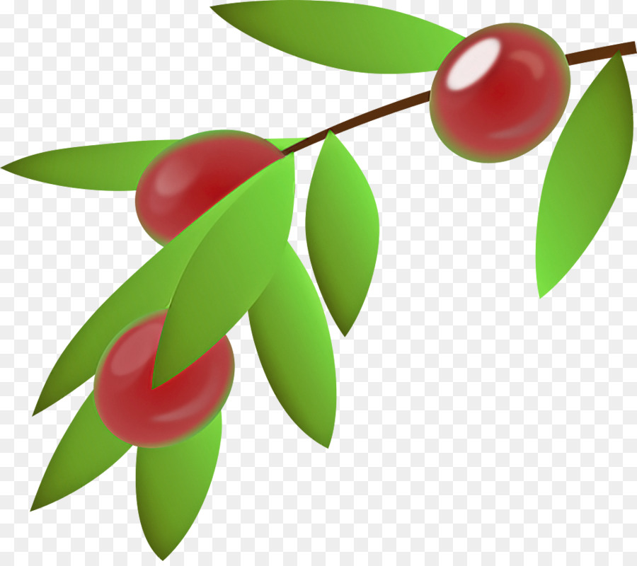 Folha，Planta PNG